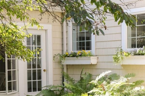 Charming house with vinyl siding, trees, and ferns
